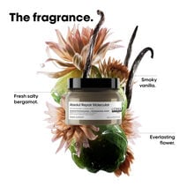 Absolut Repair Molecular Mask 150ml -  | L'Oréal Partner Shop